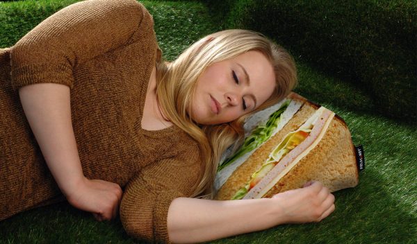 Picnic Perfect Snoos Pillow