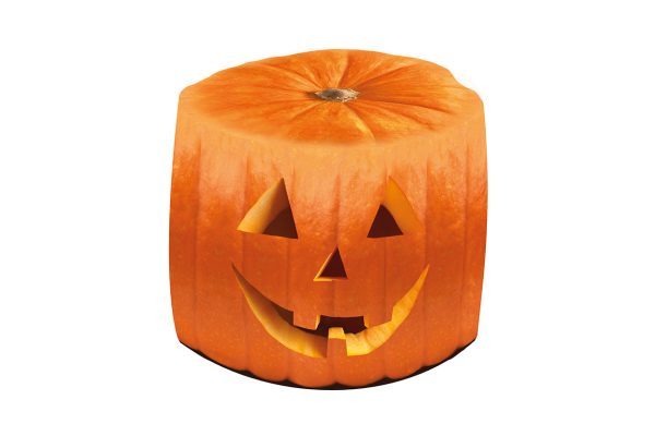 Pumpkin To Talk About Storage Tube