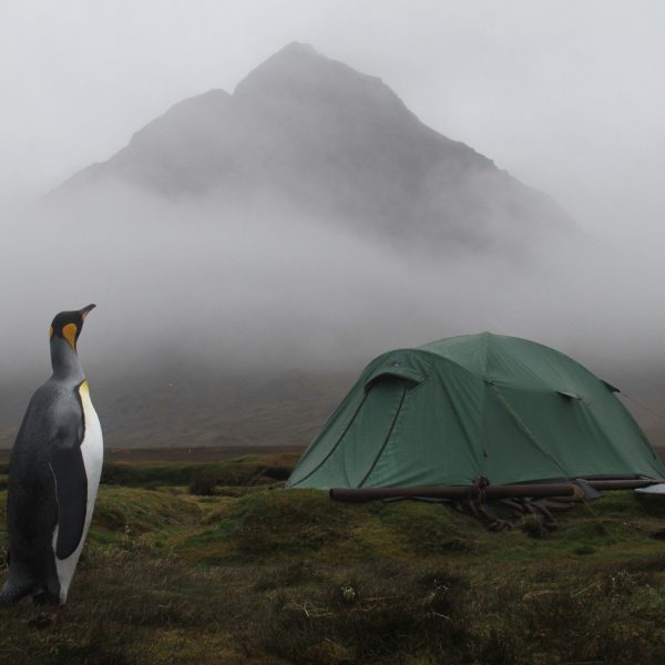 Outlet Quasar Tent