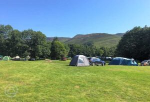 Newfold Farm Campsite