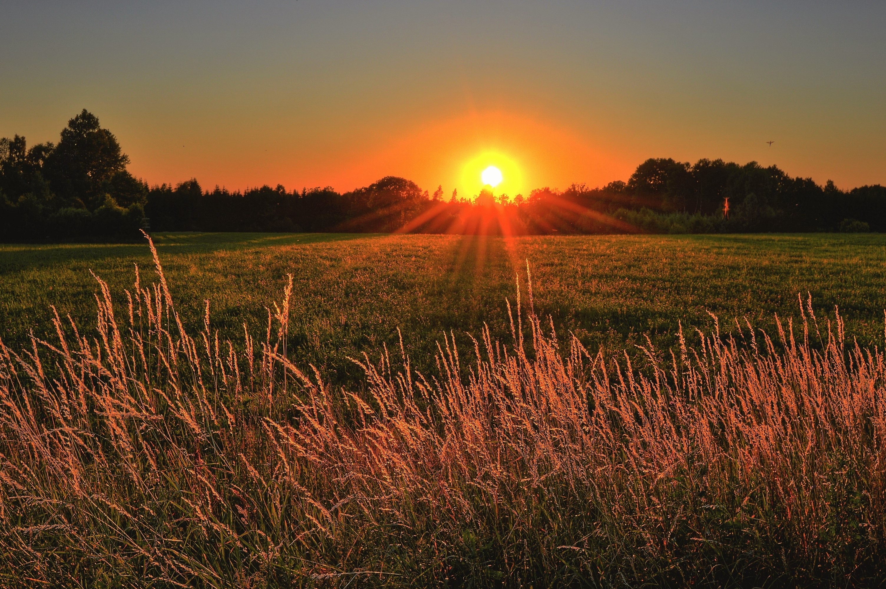 Health benefits of being outdoors