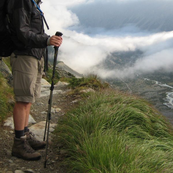Trail Lite Trekking Pole