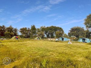 The Wildings Campsite