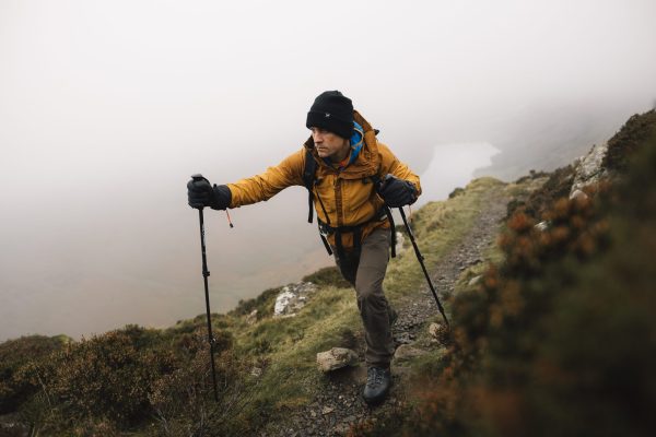 Trail Carbon Trekking Pole