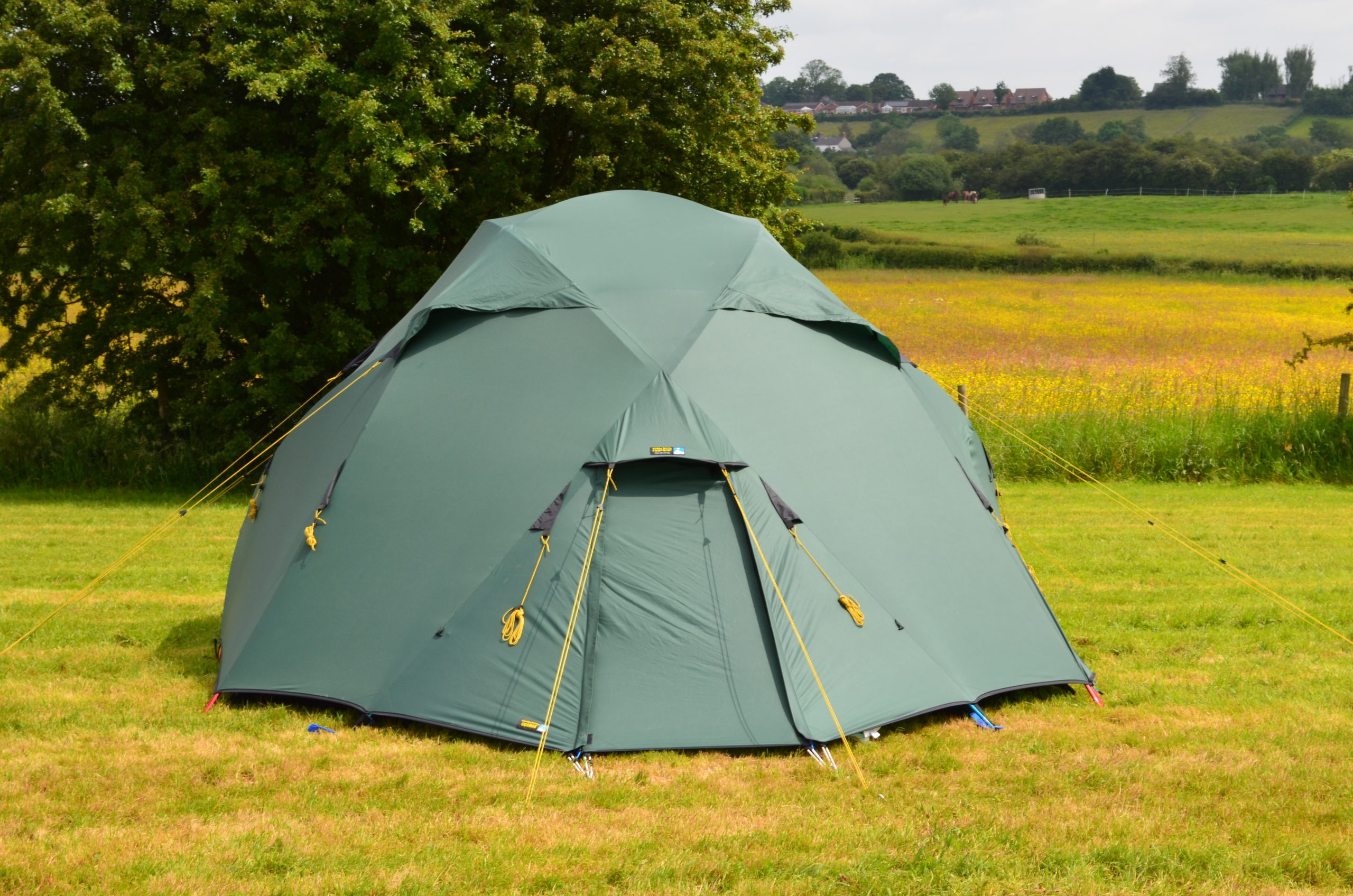 Cosmos Green dome-style camping tent with yellow guy ropes staked on a grassy field, set before a large tree with a wildflower meadow and rolling hills and houses in the distance