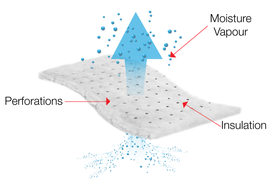 Rounded rectangular product graphic for PrimaLoft Gold Insulation ECO showing a white insulation cross-section with water droplets labelled water resistant, a 55% recycled content icon, a red heat cone labelled thermally efficient, an arrow labelled compressible and the text fast drying, plus the PrimaLoft logo