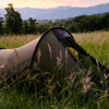 Starlite-1 Olive-green tunnel tent pitched in tall meadow grass at dusk, with trees nearby and rolling blue mountains on the horizon.