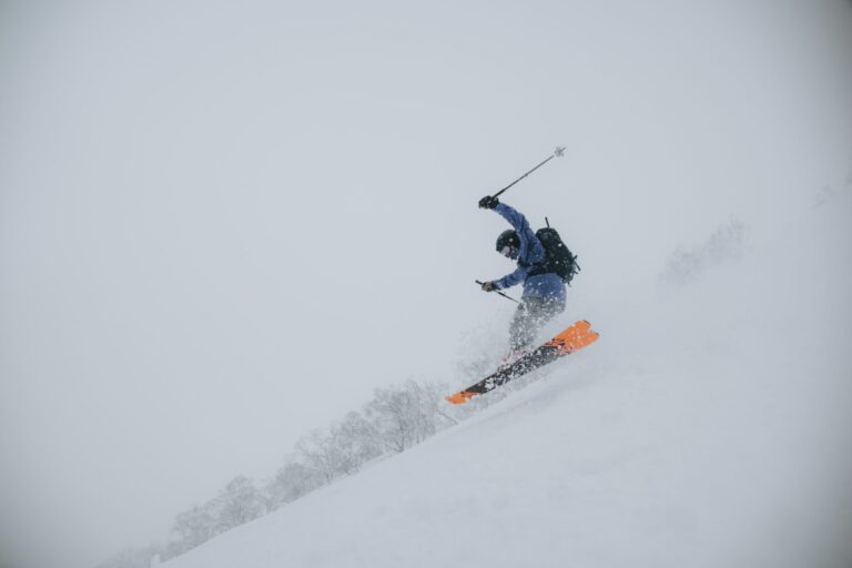 Ski gloves