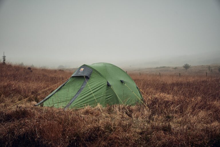 Green dome tent pitched in windswept brown moorland with yellow guy lines, surrounded by tall dry grass under a foggy, overcast sky.