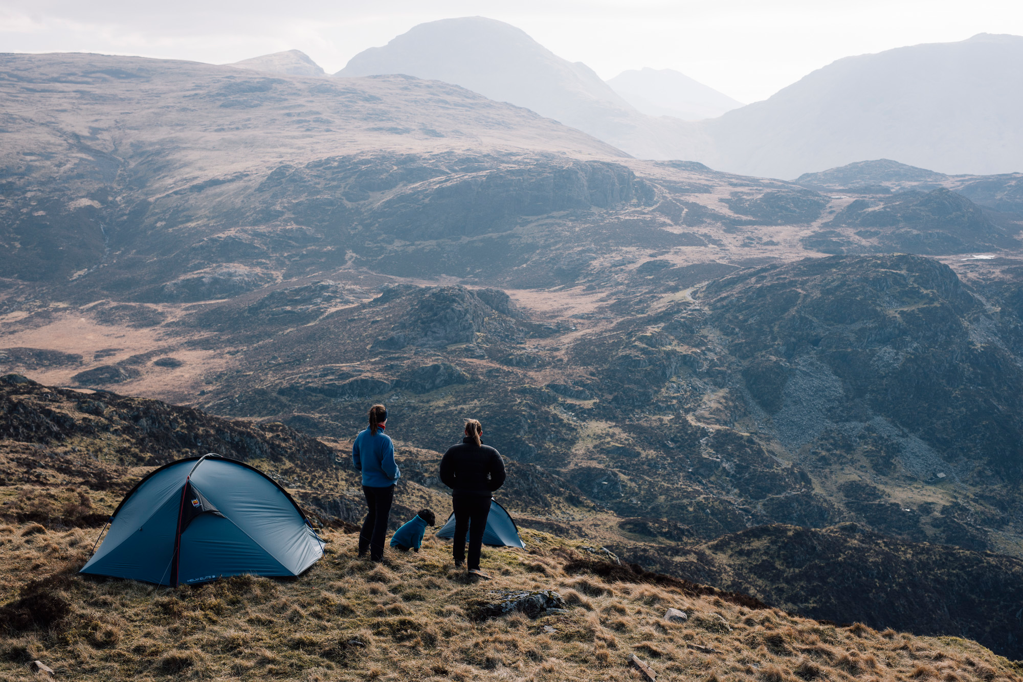 Two campers and a dog beside blue tents on a windswept grassy ridge, gazing over a vast, rugged mountain landscape of rocky slopes and misty peaks.