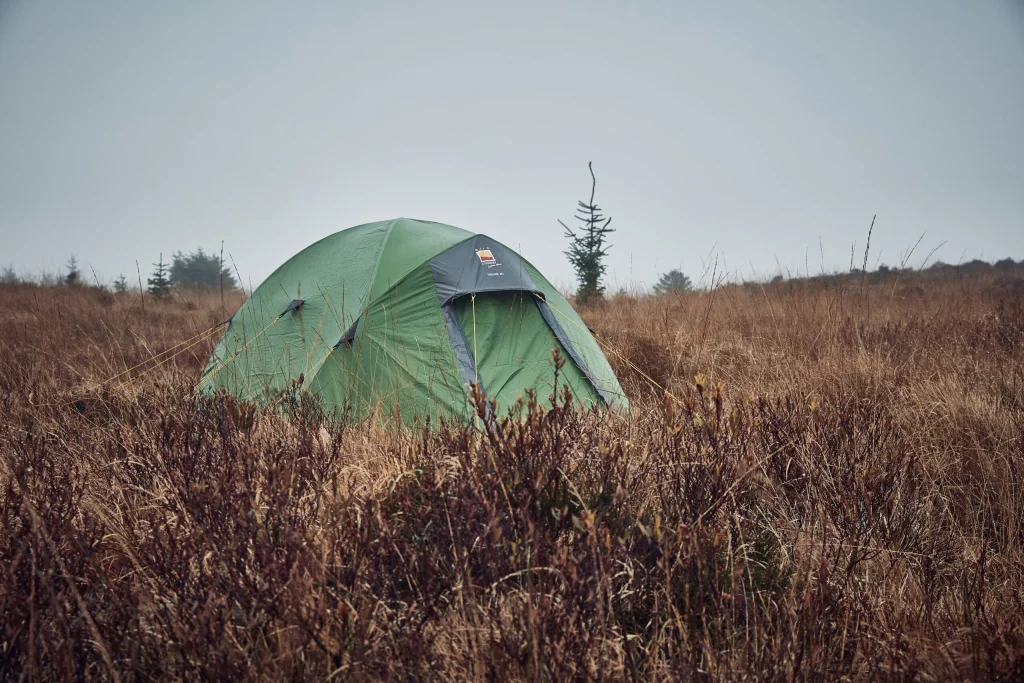 A green dome tent staked with yellow guy lines sits amid tall brown grasses on a misty, windswept moor with a few small conifer trees on the horizon.