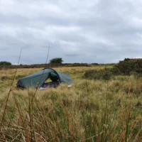A small green camping tent pitched among tall windswept grasses and low scrub on an overcast grassy moor beneath a cloudy grey sky.