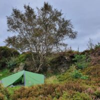 Green two-person tent pitched beneath a large birch tree on rocky, heather-covered moorland under an overcast sky