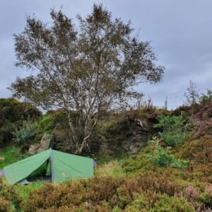 Green two-person tent pitched beneath a large birch tree on rocky, heather-covered moorland under an overcast sky