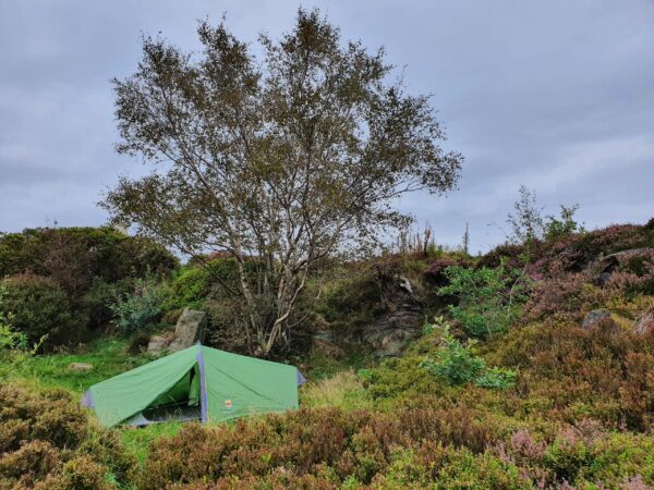 Green two-person tent pitched beneath a large birch tree on rocky, heather-covered moorland under an overcast sky