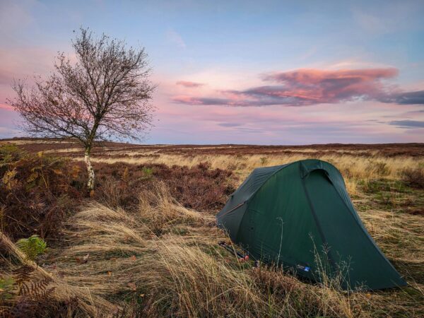 20221025_074742-scaled-2.jpg Small dark green tent pitched among tall golden grasses on a windswept moor beside a solitary birch tree under a pink and purple sunset sky.
