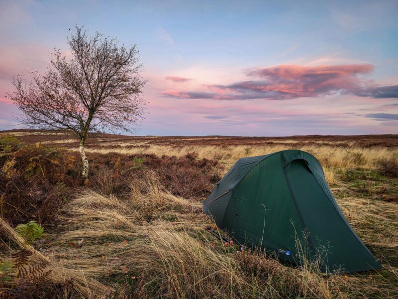 20221025_074742-scaled-2.jpg Small dark green tent pitched among tall golden grasses on a windswept moor beside a solitary birch tree under a pink and purple sunset sky.