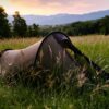 BenReadPhotography_Bikepacking-89-scaled-2.jpg Olive-green tunnel tent pitched in a tall grassy meadow with wildflowers, surrounded by trees and distant blue mountains beneath a pink-orange sunset sky.