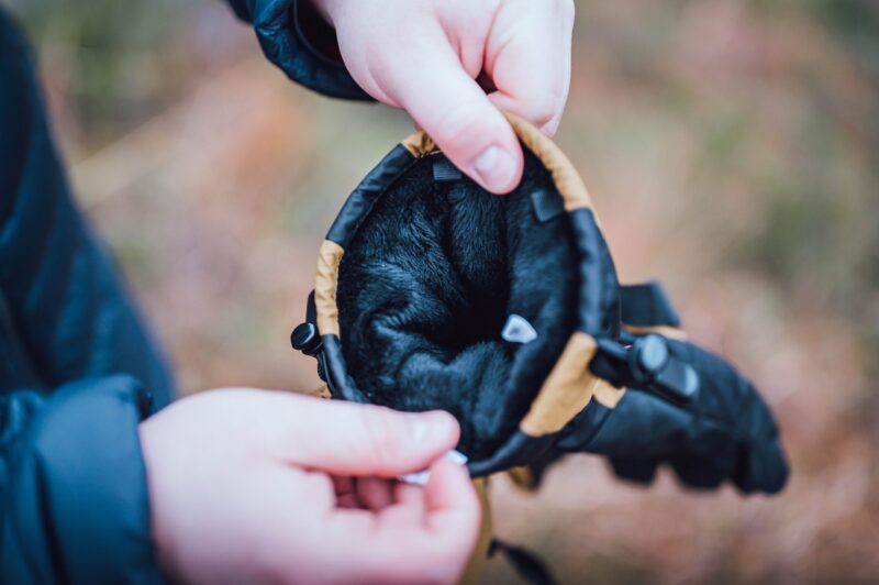 Hands holding open a tan-and-black winter glove to reveal its soft black fur-lined interior against a blurred outdoor background.