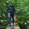 DSC_4778-scaled-4.jpg A man wearing a black jacket, cap and gloves walks a brown short-haired dog on a leash along a narrow moss-covered stone path over a stream in a leafy woodland.