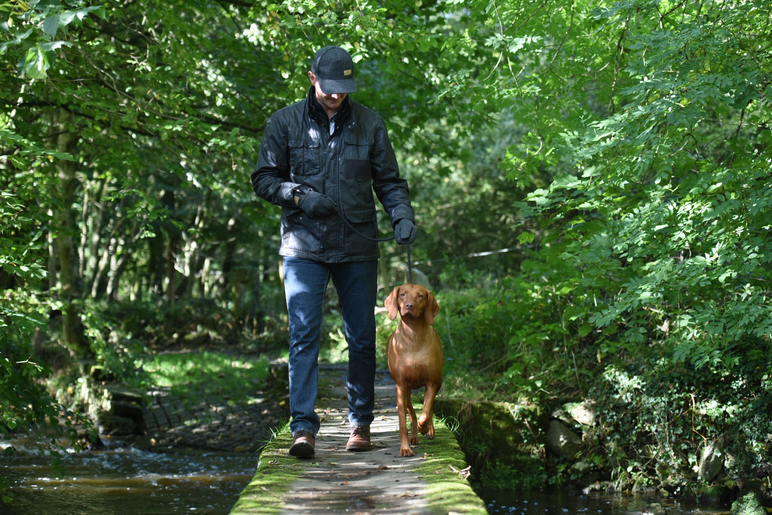 A man wearing a black jacket, cap and gloves walks a brown short-haired dog on a leash along a narrow moss-covered stone path over a stream in a leafy woodland.