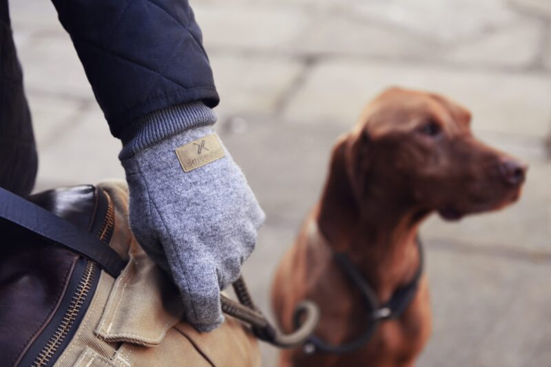 Igneous-4-scaled-2.jpg A gloved hand wearing a grey wool glove grips a canvas bag strap and dog lead, with a brown dog out of focus on a paved street in the background.