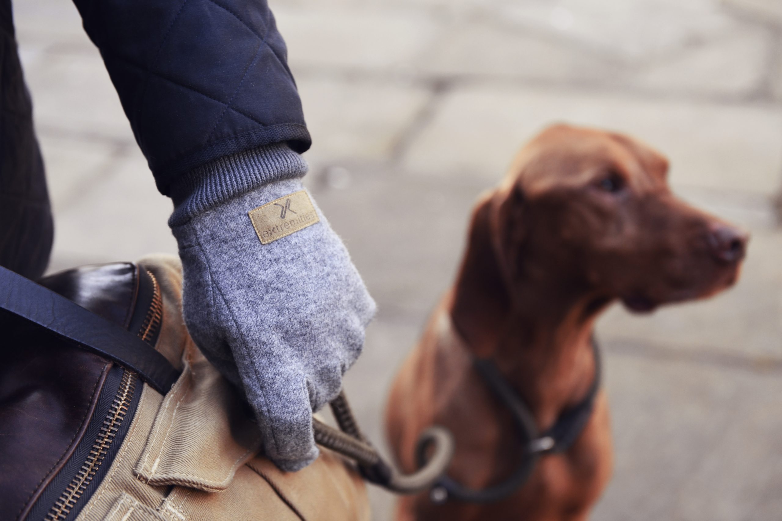 Igneous-4-scaled-2.jpg A gloved hand wearing a grey wool glove grips a canvas bag strap and dog lead, with a brown dog out of focus on a paved street in the background.