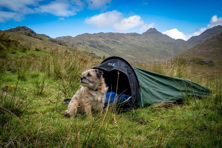 A small scruffy tan-and-grey dog with a collar sits outside a green bivvy tent pitched on grassy moorland with rolling hills and a blue sky with scattered clouds.