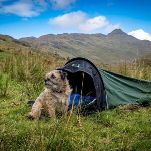 Small scruffy tan-and-brown dog with a red collar sitting in long grass outside a green bivvy tent in a grassy mountain valley under a blue sky with scattered clouds.