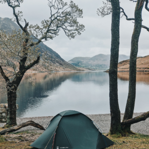 Dark green dome tent pitched on a grassy lakeshore beneath bare, twisting trees, overlooking a calm lake that mirrors surrounding hills and a cloudy sky.