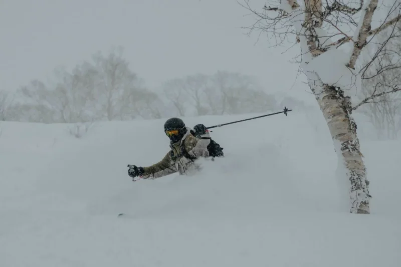 Skiing Image Skier navigating deep powder snow during a winter storm, showcasing dynamic skiing technique amidst a snowy landscape.