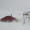 Super Quasar tents in snow 2 1500x1500 Expedition Super Quasar Tent