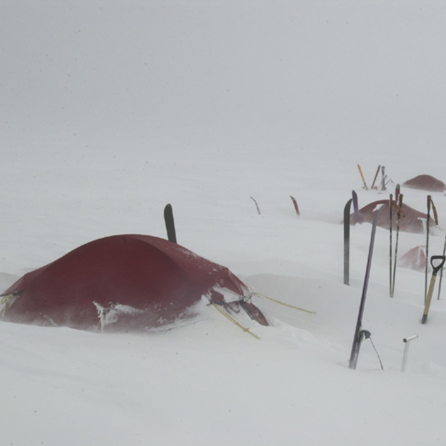 Expedition Super Quasar Tent