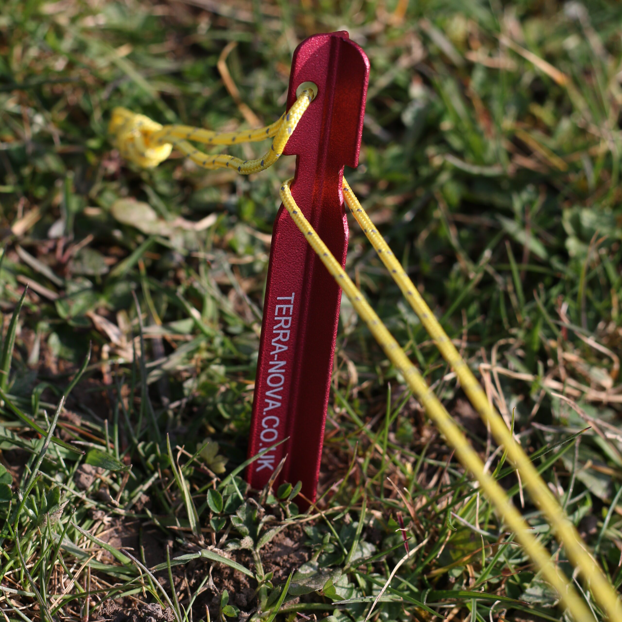 Red aluminium tent peg marked TERRA-NOVA.CO.UK driven into grassy ground with two yellow guy lines threaded through its eyelet