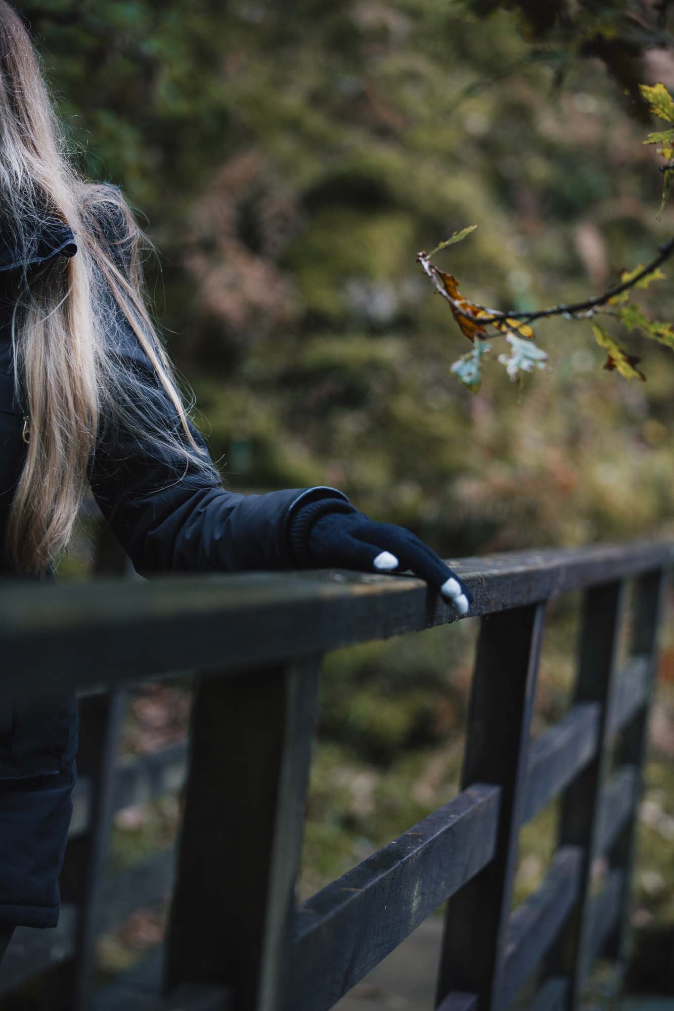 Partial view of a person with long blonde hair in a black coat, resting a black-gloved hand with white fingertips on a dark wooden bridge railing against an out-of-focus autumnal woodland and a nearby branch with yellowing leaves.