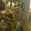 Trekking pole with a black grip and 'TERRANOVA' wrist strap leaning against a weathered wooden post beside a moss-covered stone wall in a grassy, wooded setting.