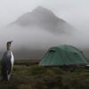zoom_Quasar_Tent_4-1.jpg A king penguin stands on damp grassy moorland at left, facing a green dome tent pitched on the right with a mist‑shrouded mountain looming in the background.