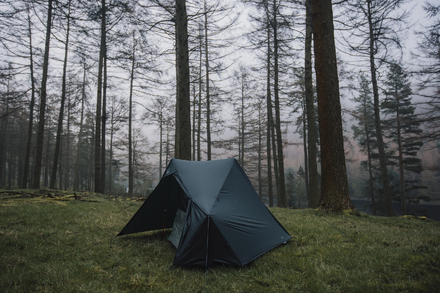 iO 1 Tent