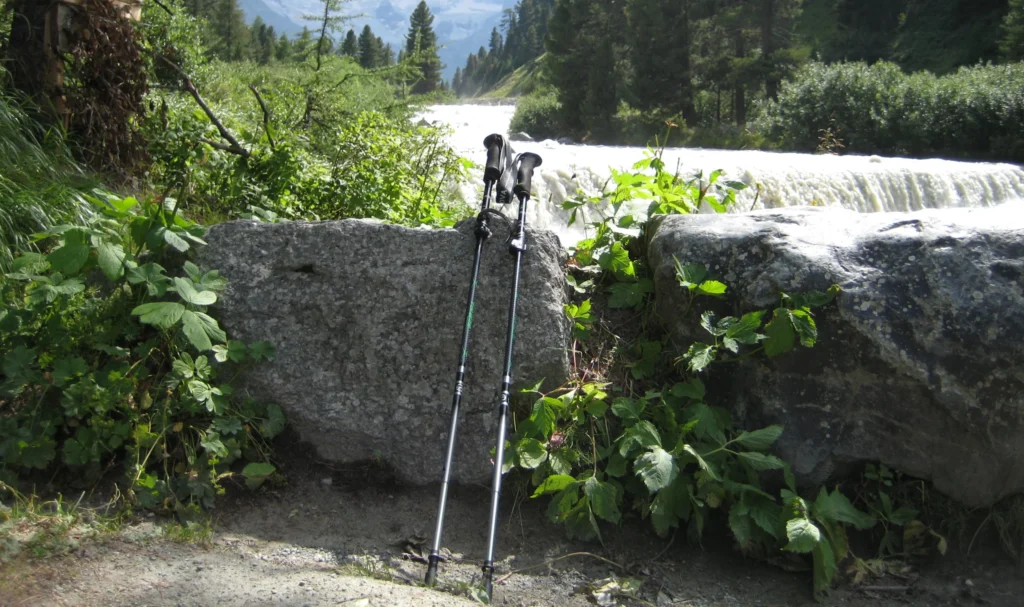 Trail Elite Trekking Pole